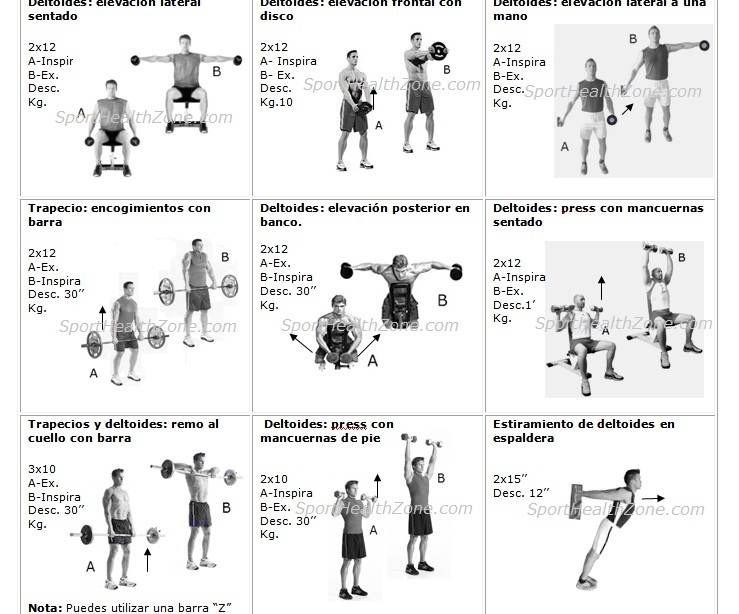 Rutina de ejercicios para ganar masa muscular principiantes en casa